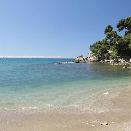 Appartement T2 Rez De Villa Proche Bord De Mer Le Pradet Luaran gambar